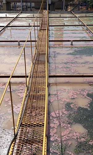 Tratamento biológico do chorume Tratamento biológico do chorume